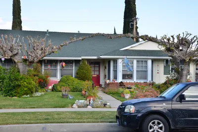 DSC_7219 (Large).JPG